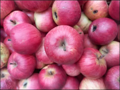 Quel fruit est &eacute;galement appel&eacute; "pomme d'amour" ?