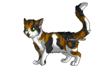 Quiz Test de personnalit�