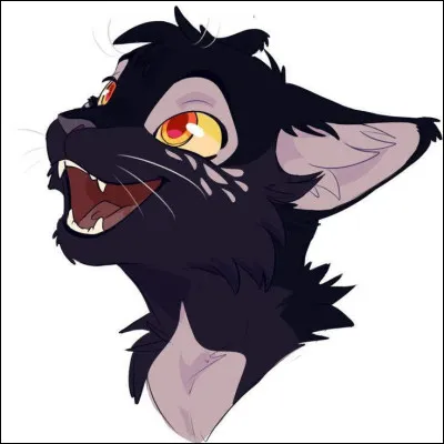 Tu pr&eacute;f&egrave;res :