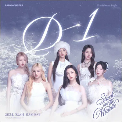 Comment s'appelle leur fandom ?