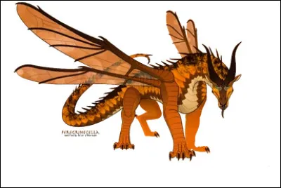 Quel est l'&acirc;ge de Criquette ?