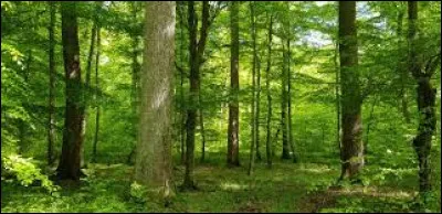 Qui sont les parents de Dros&eacute;ra ?