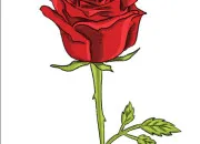 Quiz Les partis politiques fran�ais