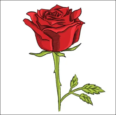 Quel parti a comme symbole la rose ?