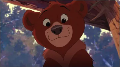 De quel Disney vient ce petit ours ?