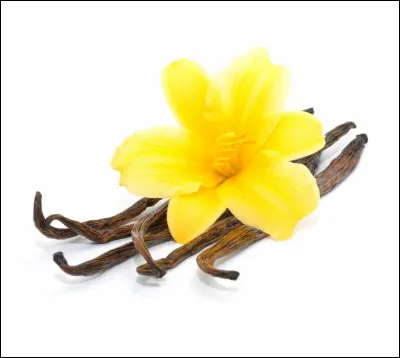 Qu'est-ce que c'est ?