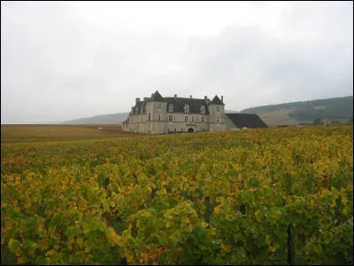 Comment sont les volets de Jean-Claude Brialy, dans son film de 1973 ?