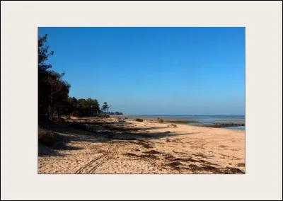 Et celui d'Alfred Hitchcock, sorti en 1959, c'est...