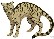 Quiz LGDC - Connais-tu bien Longue Plume ?