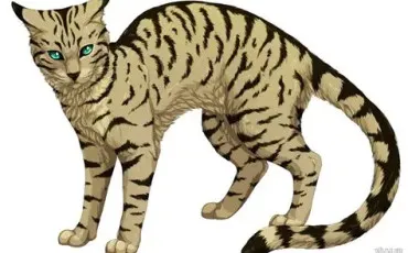 Quiz Litt�rature, po�sie