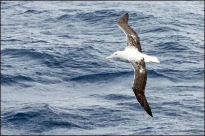 Quel rapport entretiens-tu avec la libert&eacute; ?