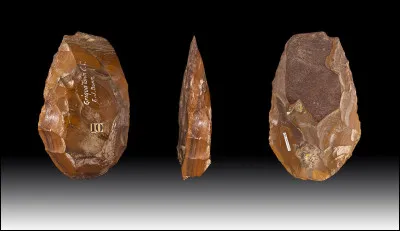 On sait &agrave; pr&eacute;sent que l'outil n'est pas le propre de l'homme, certains animaux aussi s'en servent depuis des mill&eacute;naires, peut-&ecirc;tre m&ecirc;me avant nous, mais il existe tout de m&ecirc;me quelque chose que l'&ecirc;tre humain est le seul &agrave; avoir domestiqu&eacute; sur cette plan&egrave;te ...