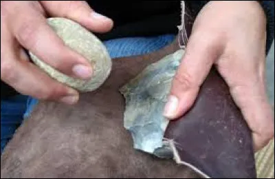 Pour survivre, nos anc&ecirc;tres n'avaient pas le choix, il leur fallait un abri pas trop loin d'un point d'eau, ensuite il leur fallait pratiquer la cueillette et la chasse et pour &ccedil;a il leur fallait des armes, le bois pour fabriquer une sagaie ne manquait pas et au tout d&eacute;but on se contentait de l'&eacute;pointer, ce qui n'&eacute;tait pas tr&egrave;s efficace, c'est donc une roche qui leur a permis de progresser !