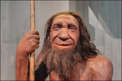 Il y a &agrave; peu pr&egrave;s 45 000 ans, Homo Sapiens d&eacute;barque dans une Europe peupl&eacute;e par ...