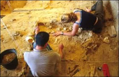 Qu'a t-on d&eacute;couvert dans la grotte de Tautavel, dans les Pyr&eacute;n&eacute;es orientales ?