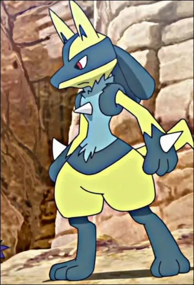 Ce Pok&eacute;mon, c'est...