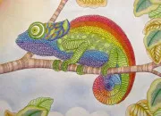 Quiz Culture G� : 2 images au choix - Quizz.biz (6)