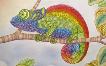 Quiz Culture g�n�rale