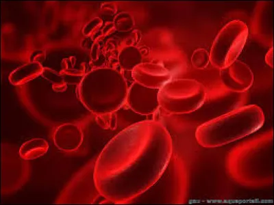 Dans le syst&egrave;me ABO, lequel de ces groupes sanguins n'existe pas ?