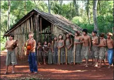 Lequel de ces groupes ethniques est issu d'Am&eacute;rique du Sud ?