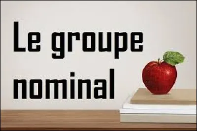 Quel est le noyau du groupe nominal " Le petit chat gris de mon voisin" ?