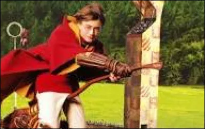 Harry est le plus jeune joueur de Quidditch depuis�