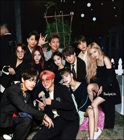 Blackpink a d&eacute;but&eacute; avant BTS