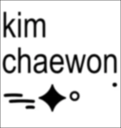 Mon nom de famille est Kim :