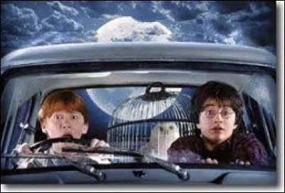 La voiture de M. Weasley est une...