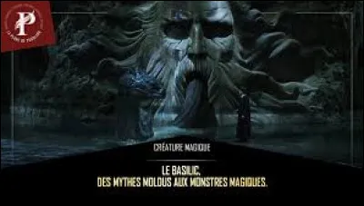 Que dit Tom Jedusor en Fourchelang pour appeler le Basilic dans la Chambre des secrets ?