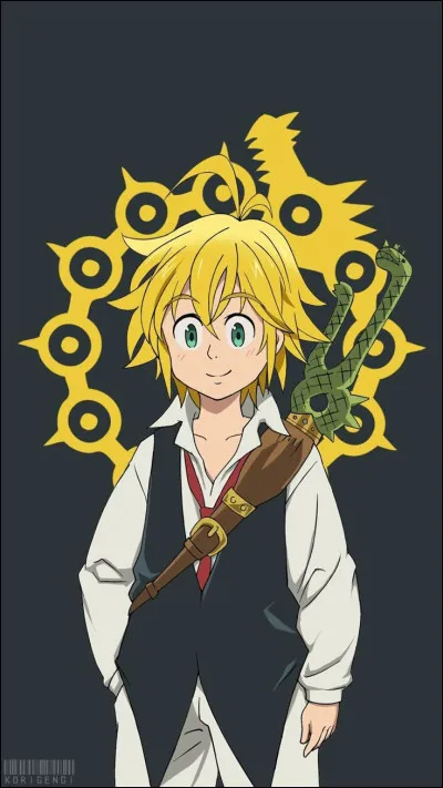 Quelle est la race de Meliodas ?
