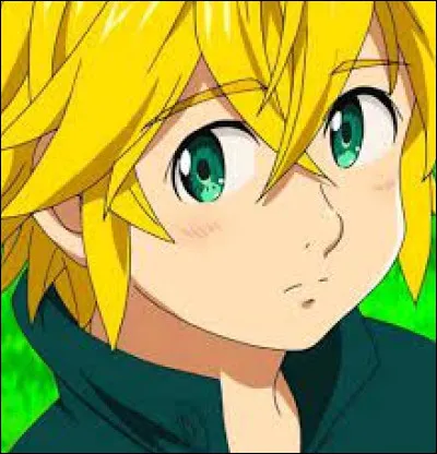 Combien de fr&egrave;re(s) Meliodas a-t-il ?