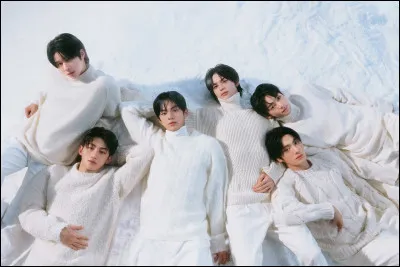 Quand le groupe TWS a-t-il d&eacute;but&eacute; ?