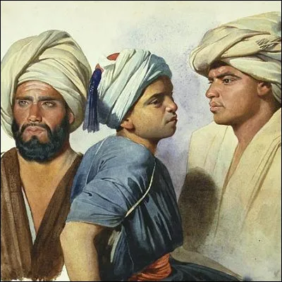 Quelle fleur, dont le nom vient d�un mot turc signifiant "turban", poss&egrave;de des cultivars Ali Baba et Kingblood ?