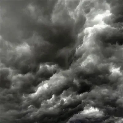 Quel c&eacute;phalopode &agrave; dix bras utilise du s&eacute;pia pour se d&eacute;fendre ?