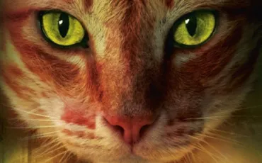 Quiz La guerre des clans