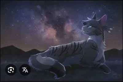 Quel est ton r&ecirc;ve ?