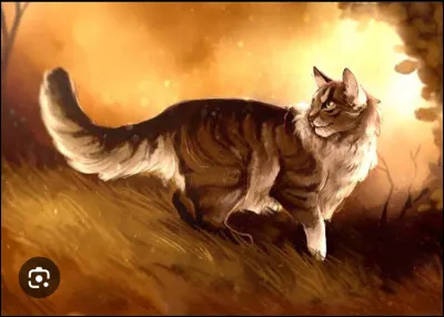 Lorsque tu deviens apprenti, quelle est la premi&egrave;re chose que tu d&eacute;sires faire ?