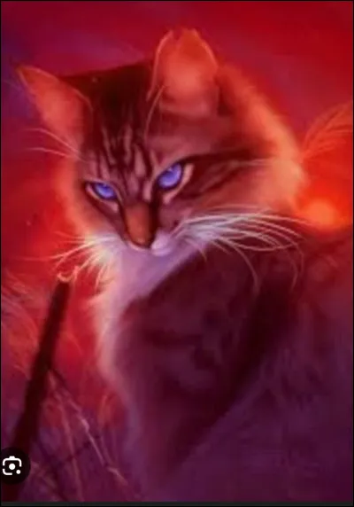 Veux-tu devenir chef(fe) ?