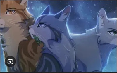 Ton mentor te demande d'enlever les tiques des anciens.