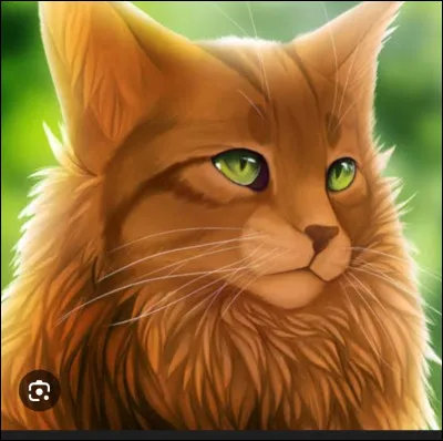 Tu pr&eacute;f&eacute;rerais que ton nom de guerrier commence par...