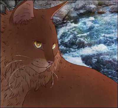 Quelle couleur de pelage a C�ur de Ch&ecirc;ne ?