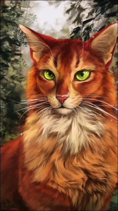 Pour changer un peu : Quelle est la couleur des yeux d'&Eacute;toile de Feu ?