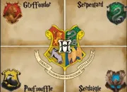 Test Quel personnage de ''Harry Potter'' es-tu ?