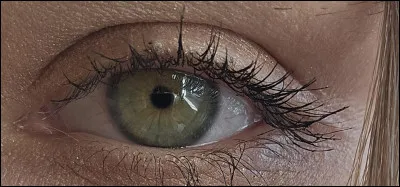 Quelle est cette couleur d'�il ?