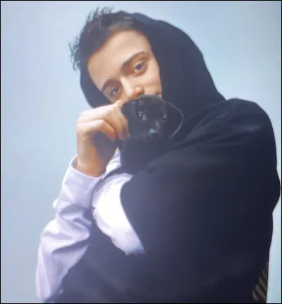 Comment s�appelle l�acteur de Will ?