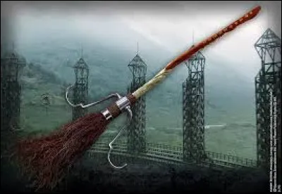 Qui a envoy&eacute; l'&Eacute;clair de Feu &agrave; Harry ?