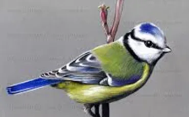 Quiz Culture g�n�rale