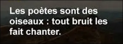 Et on cl&ocirc;ture ce quiz par une petite citation. Quel auteur a &eacute;crit : ''Les po&egrave;tes sont des oiseaux : tout bruit les fait chanter'' ?