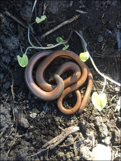 Qu'est-ce qui est vrai &agrave; propos de cette image ?